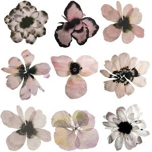 Meet your Posher, Posh